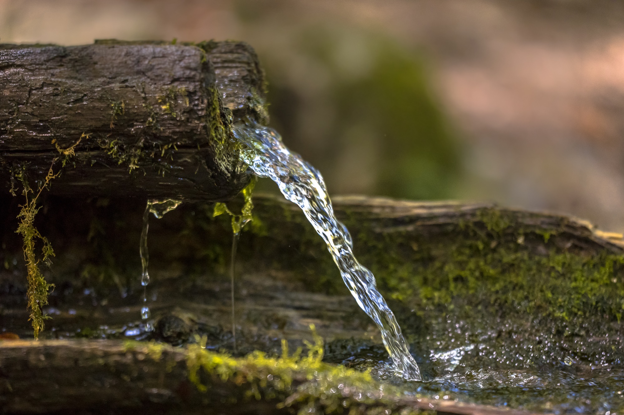 Mountain water spring
