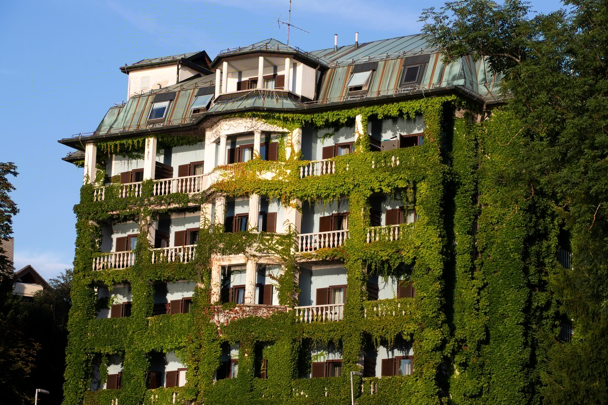 Sustainable green building. Eco-friendly building.