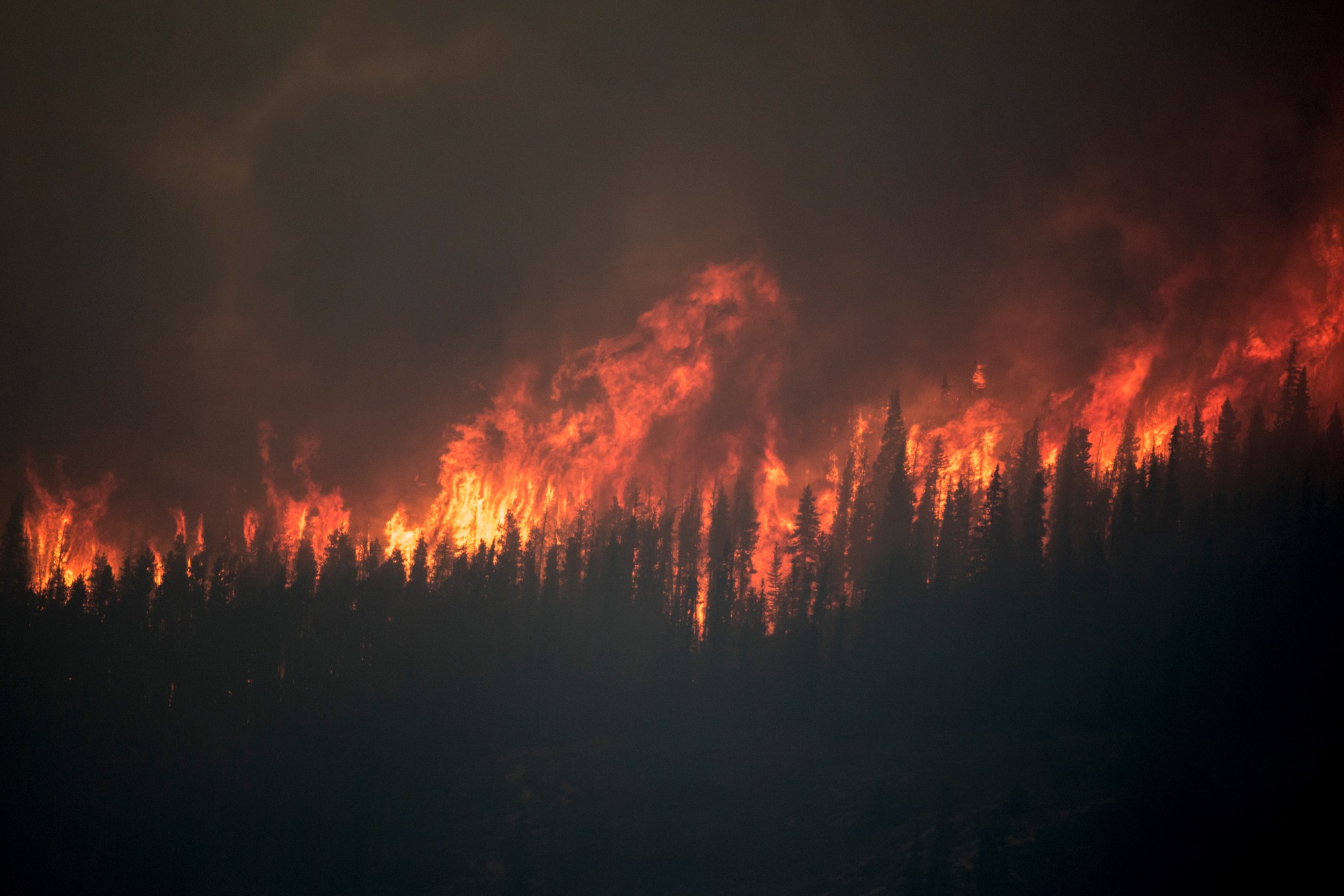 The Chetamon wild fire raging in Fall of 2022