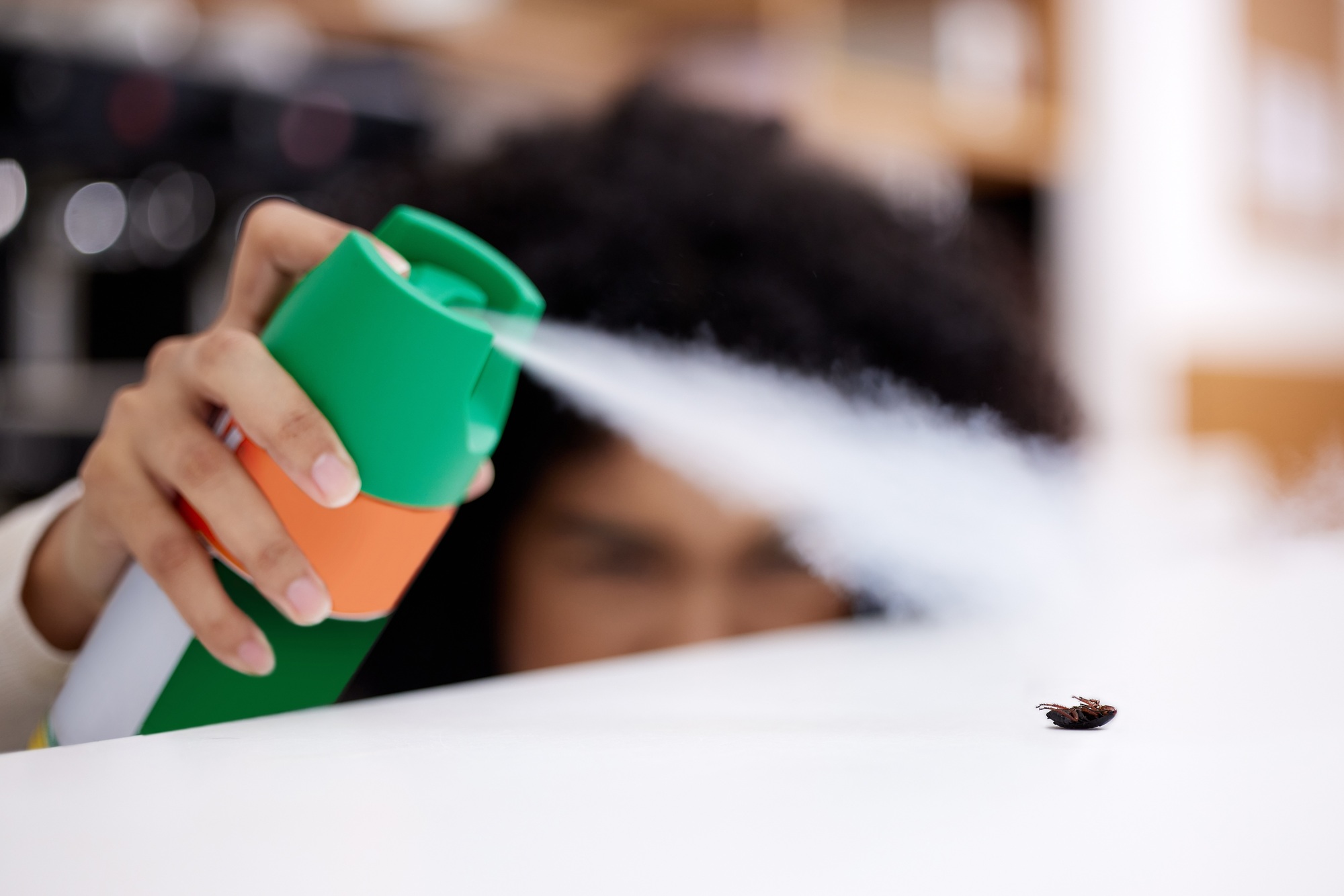 This is a bug free zone. Shot of a young woman spraying an insect on a counter at home.