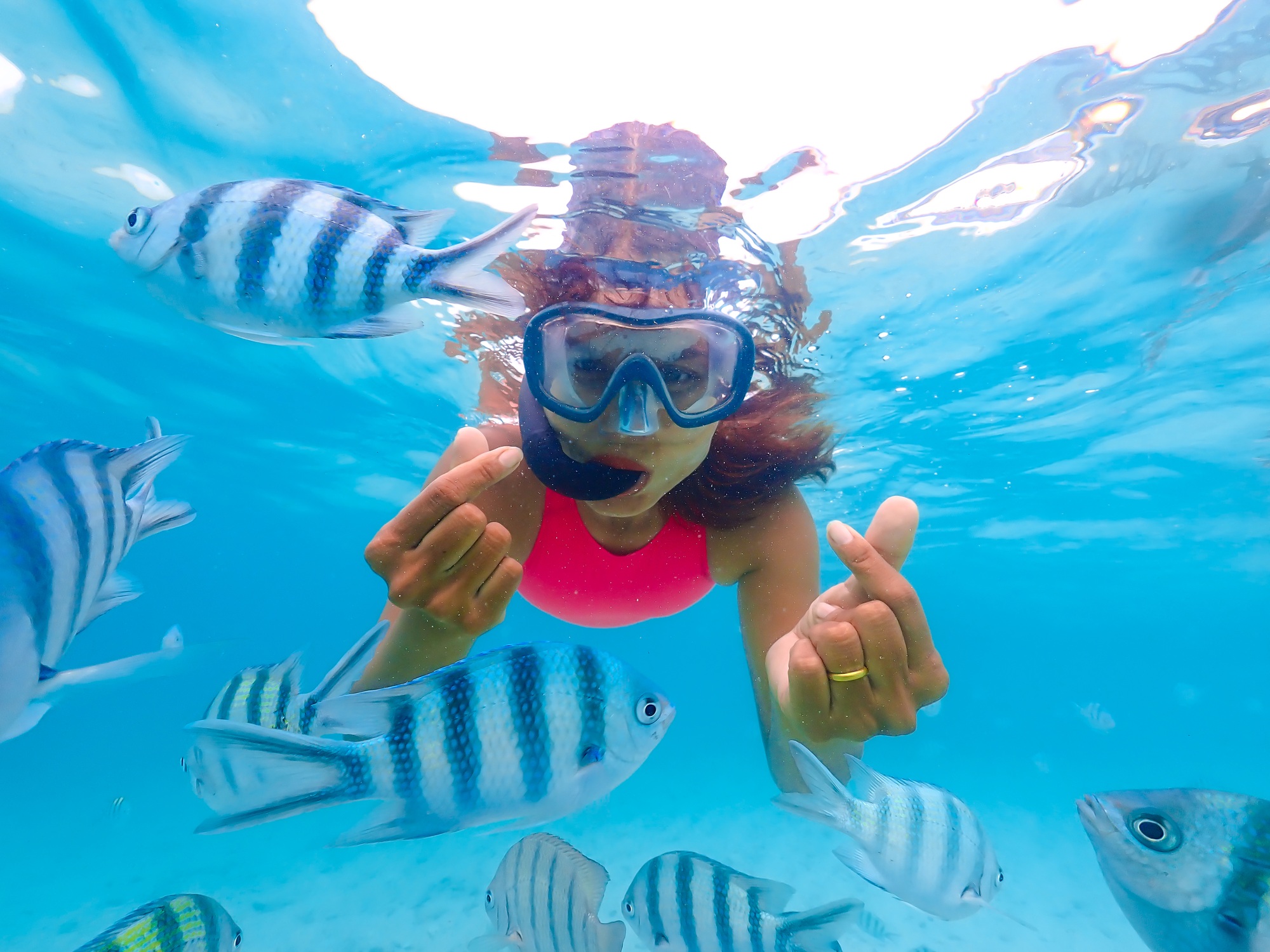 snorkeling trip at Samaesan Thailand dive underwater with fishes in the coral reef sea pool