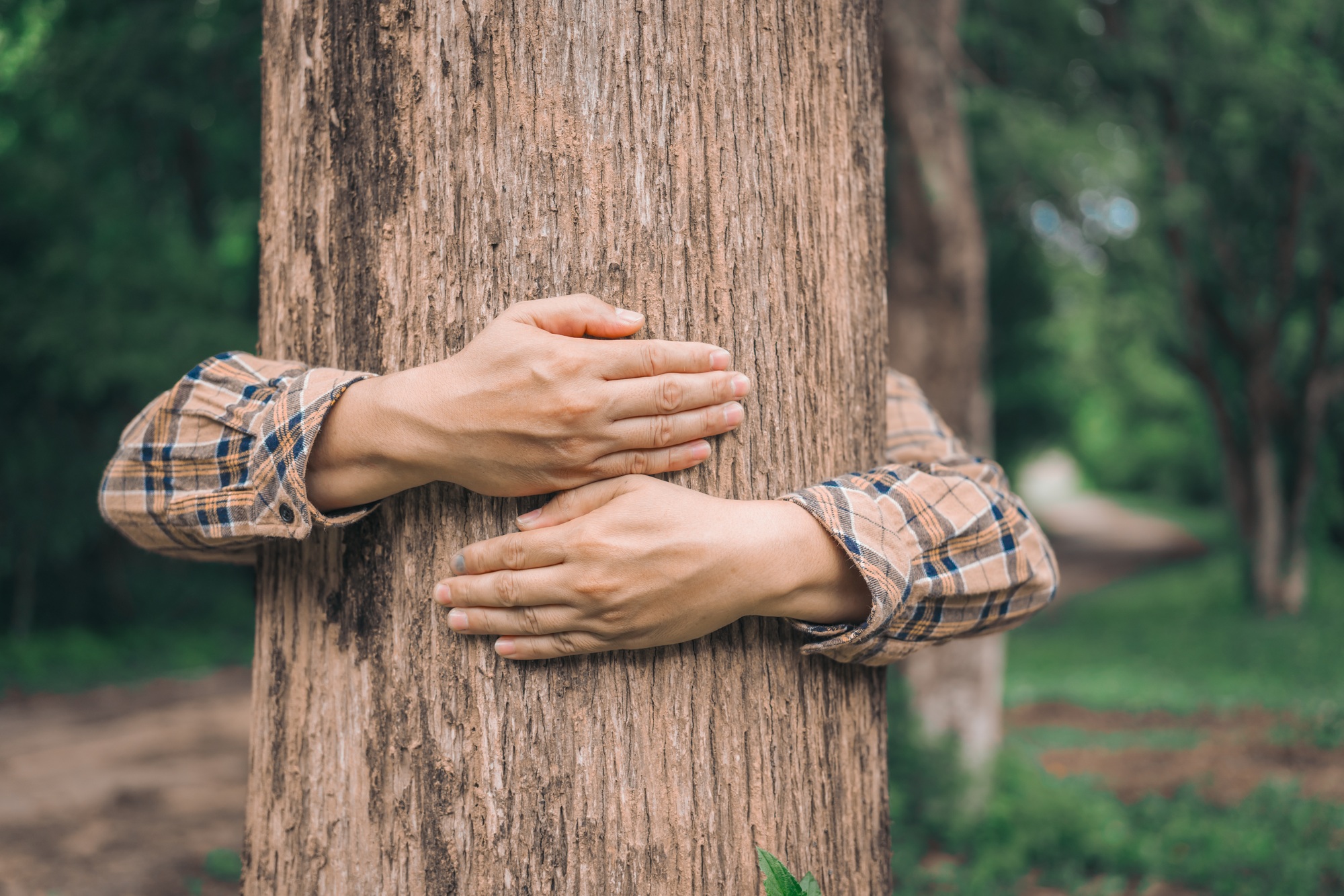 A male hand hugs a tree, symbolizing love for nature and the environment. This act represents