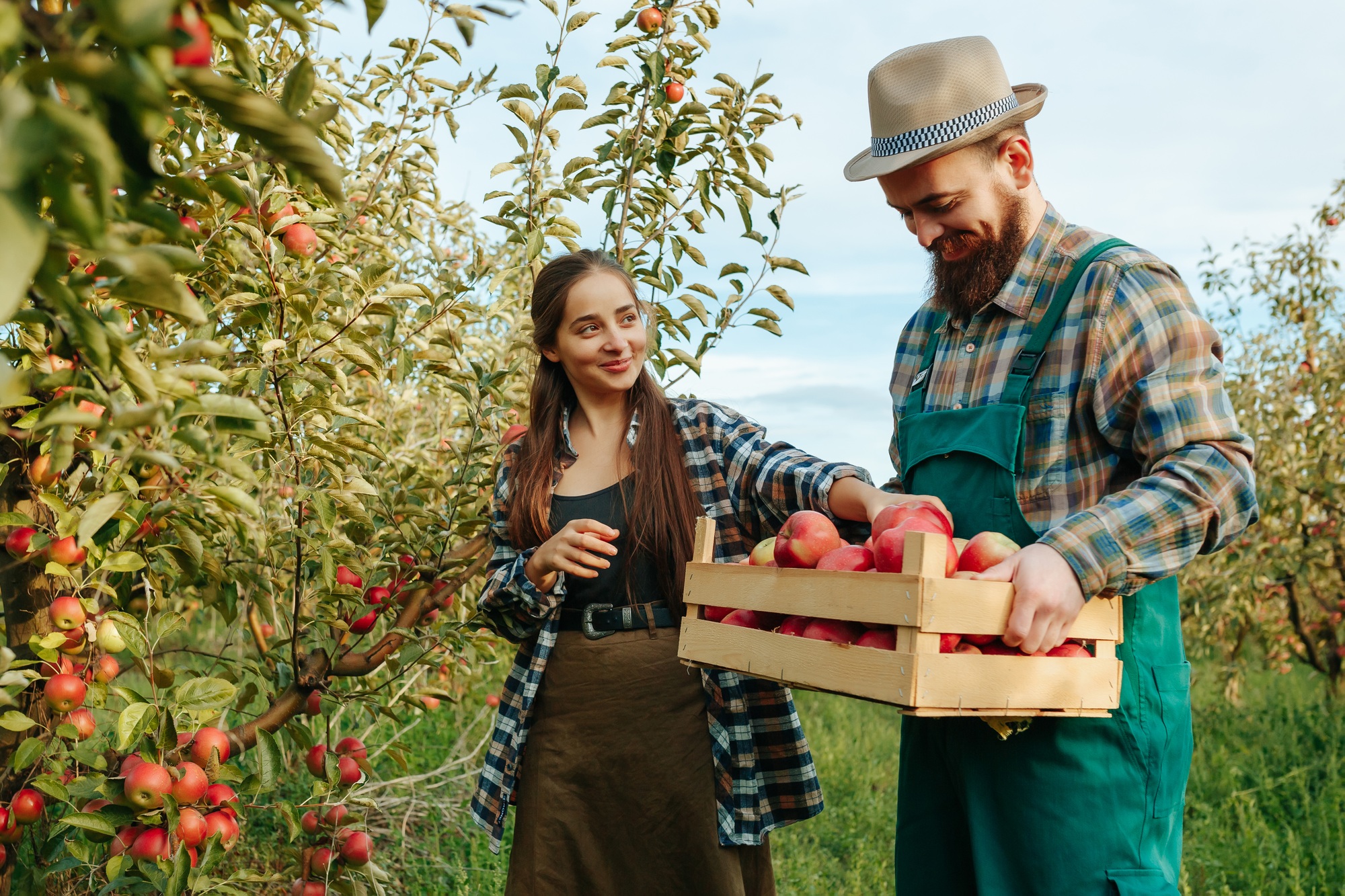 A man and a woman work on a family farm. She picks apples. He holds a box.