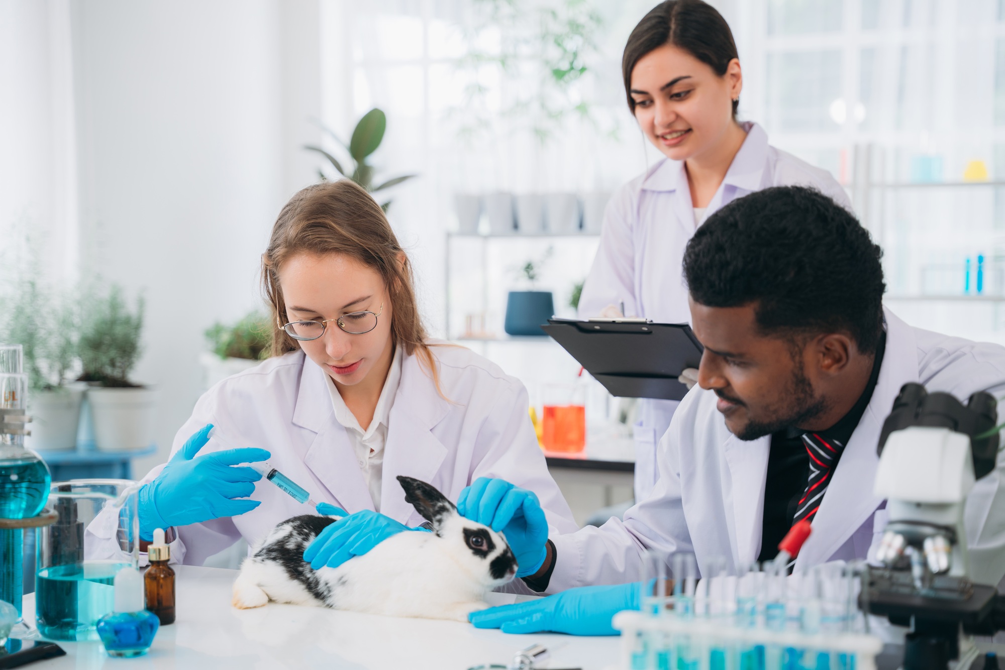 Scientist and Pharmacist Conducting Chemical Research and Animal Testing in a Laboratory.