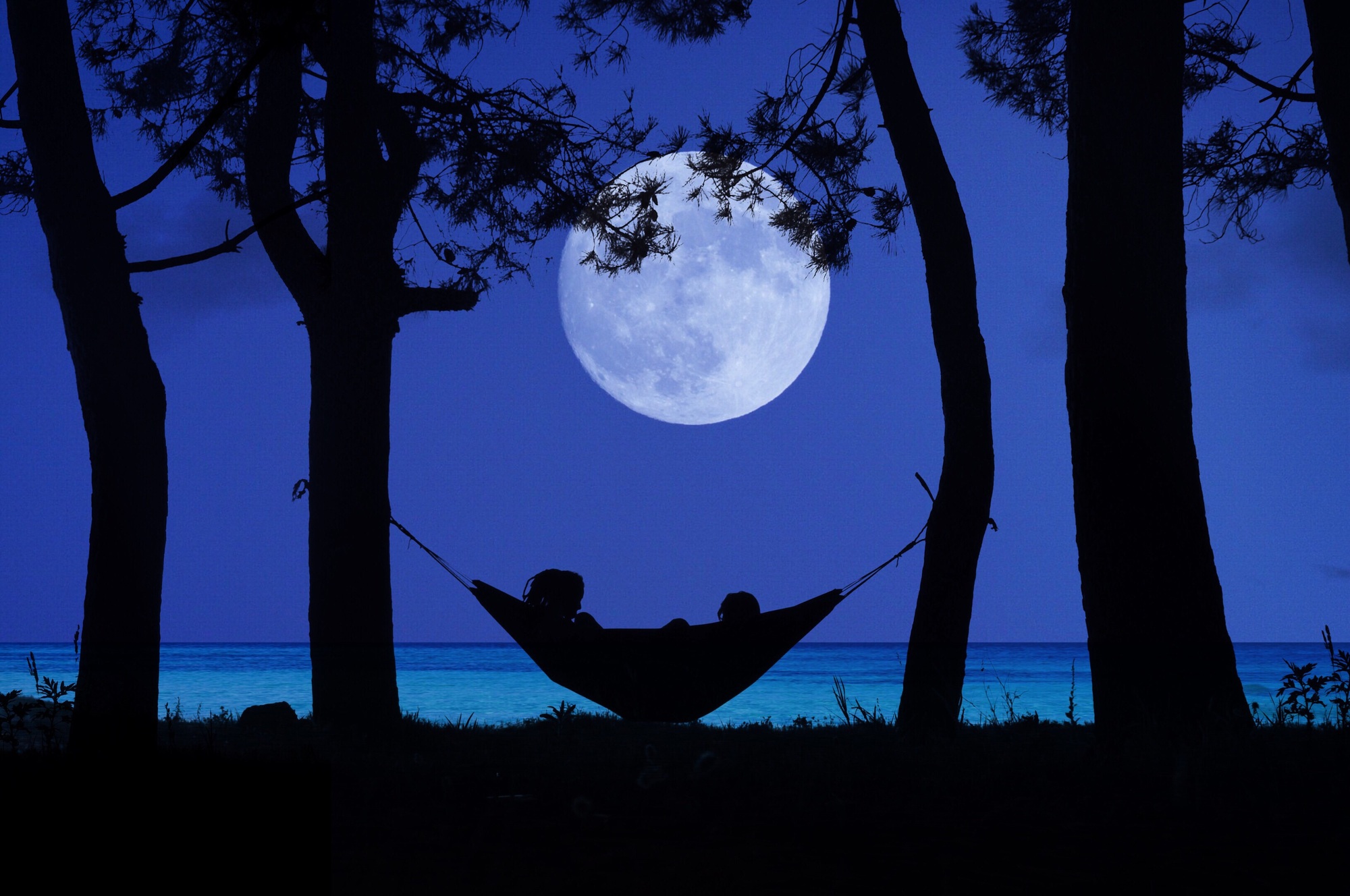 People looking at the moon